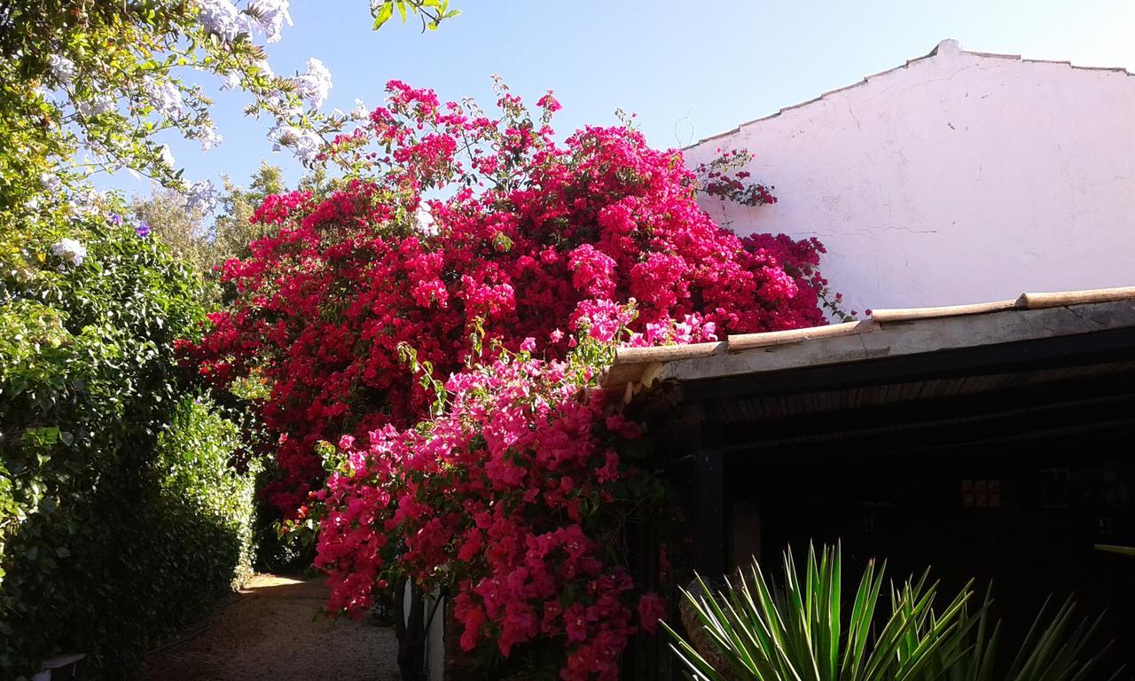 Quinta das Flores Albufeira Exterior foto